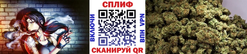 Купить где  Суоярви  Бошки марихуана конопля 
